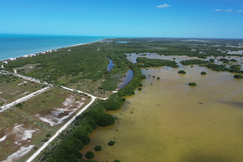 MANGLAR-ALMARE-2 (2)