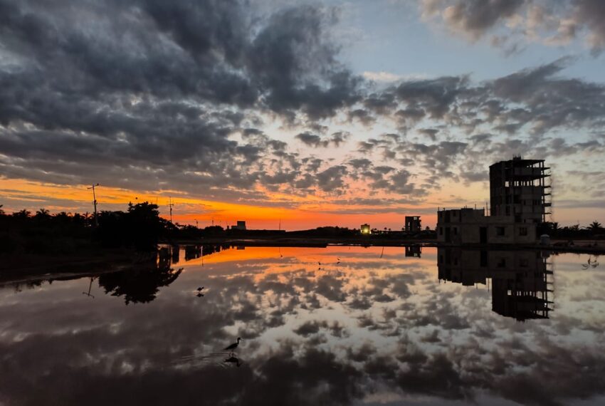 WhatsApp Image 2024-01-14 at 11.17.28 AM (7)