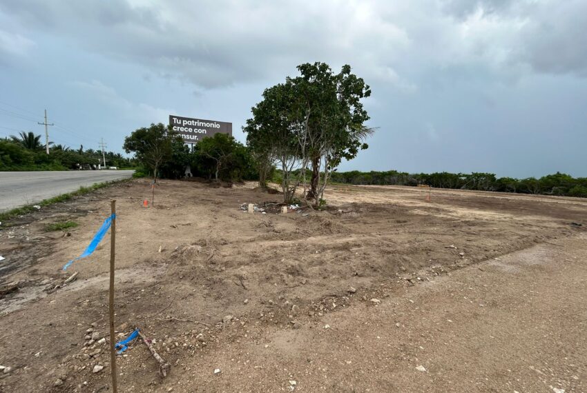 WhatsApp Image 2024-10-06 at 8.06.42 PM (1)