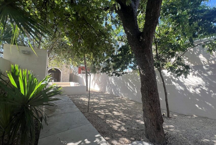 WhatsApp Image 2026-03-31 at 4.29.47 PM