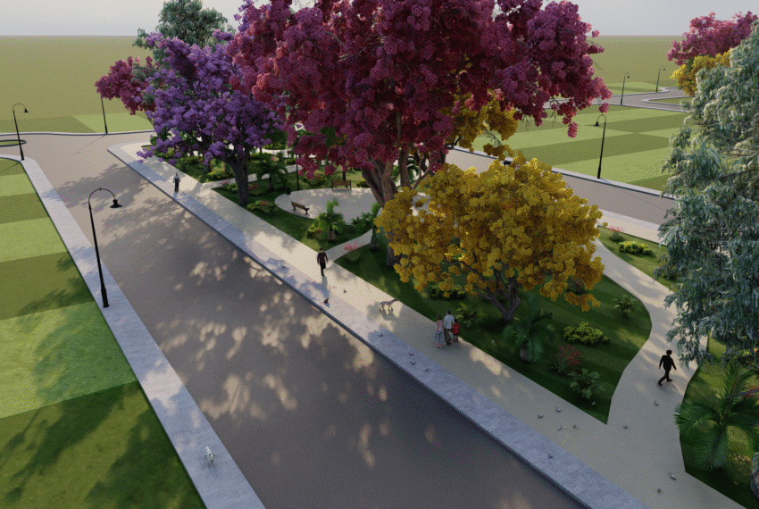 Perspectiva-Coralta